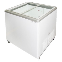 Excellence Euro-10 Flat Lid Merchandising Freezer 9.6 cu ft