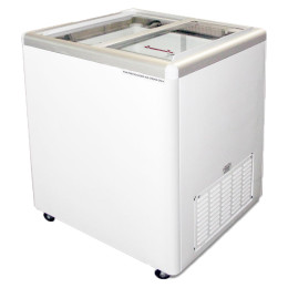 Excellence Euro-8 Flat Lid Merchandising Freezer 7.5 cu ft